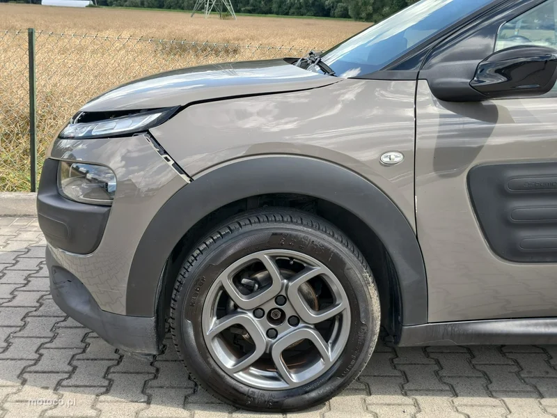Citroen C4 Cactus 30