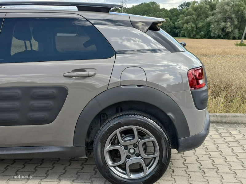 Citroen C4 Cactus 31