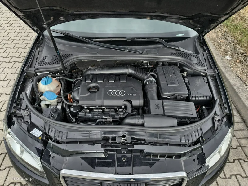 Audi A3 8P 22