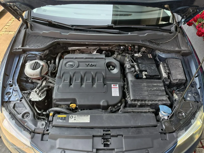 Seat Leon 38