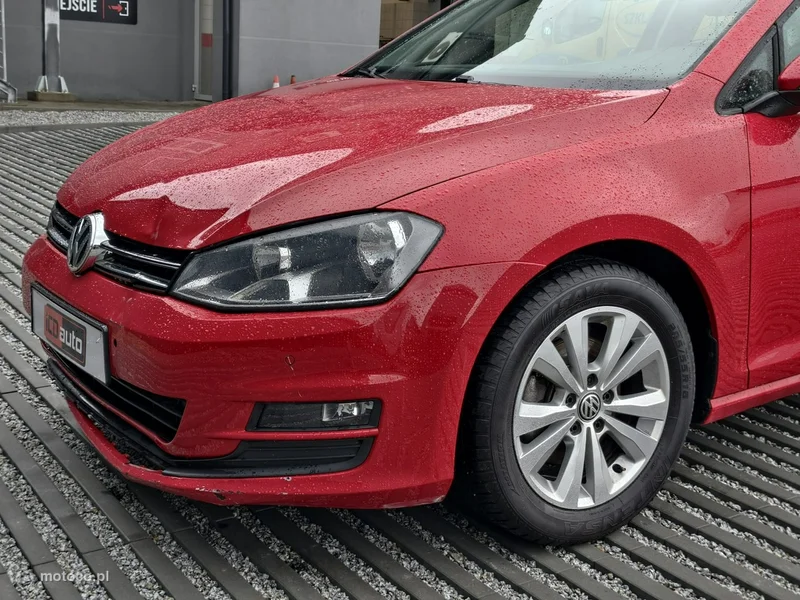 Volkswagen Golf VII 27