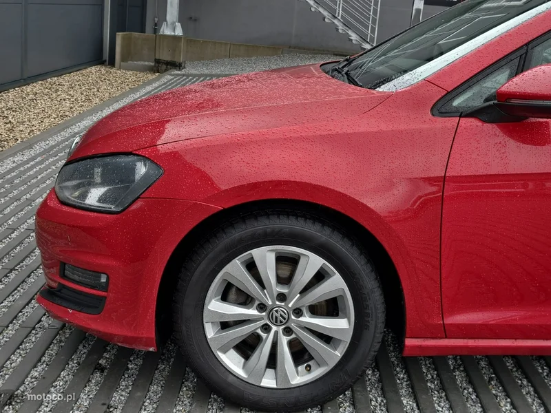 Volkswagen Golf VII 28