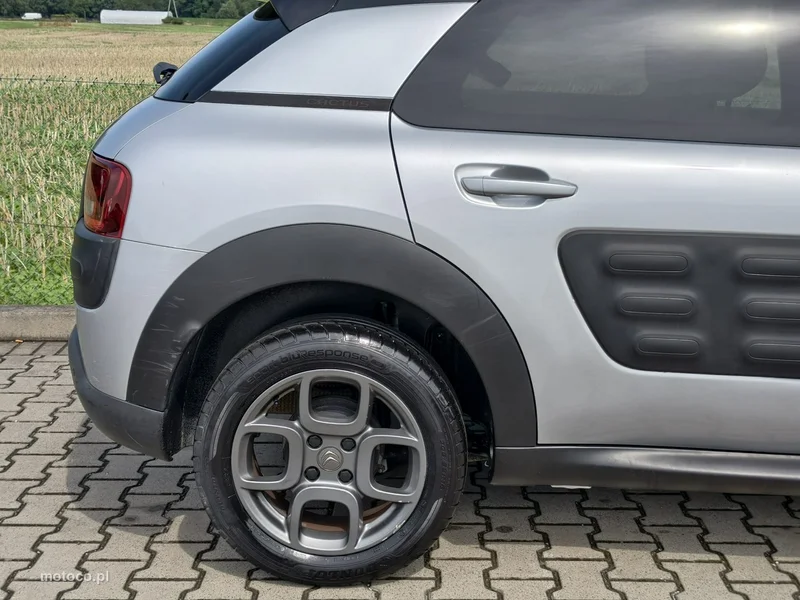 Citroen C4 Cactus 18