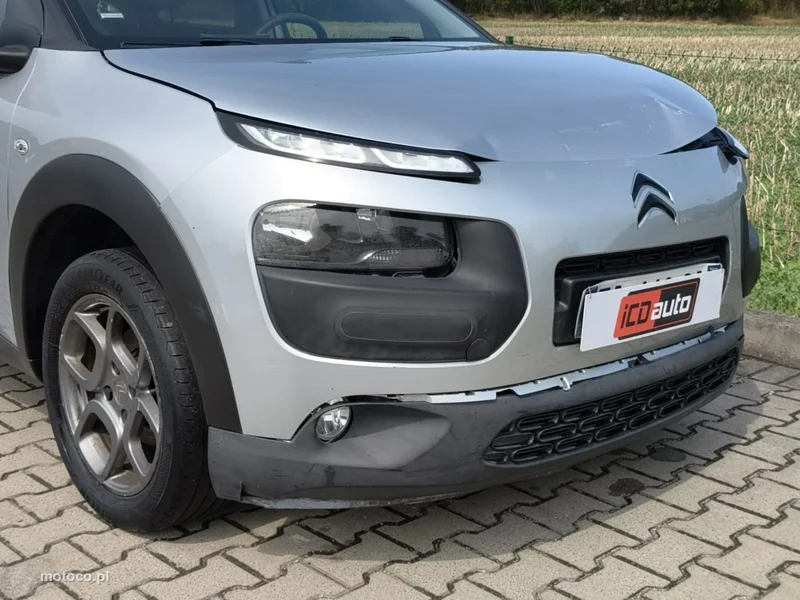 Citroen C4 Cactus 20