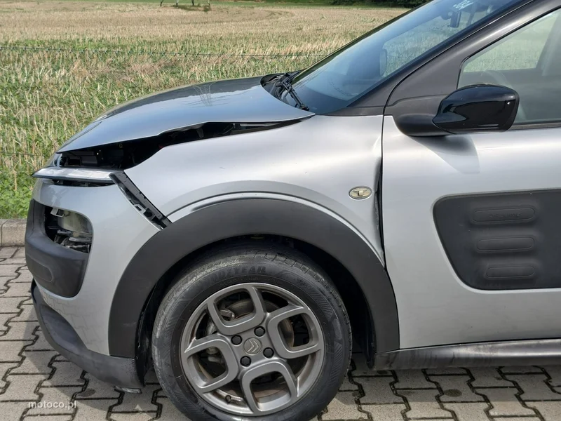 Citroen C4 Cactus 26