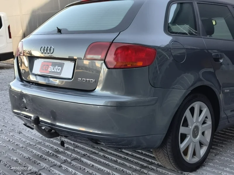 Audi A3 8P 17