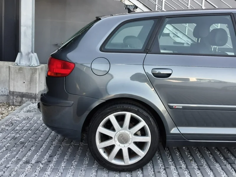 Audi A3 8P 18
