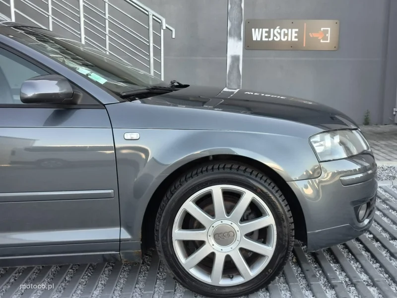 Audi A3 8P 19