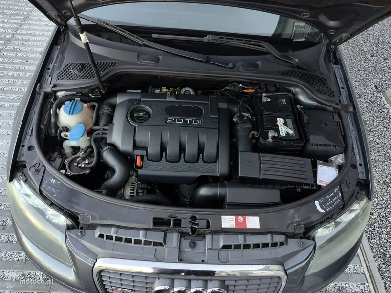 Audi A3 8P 21