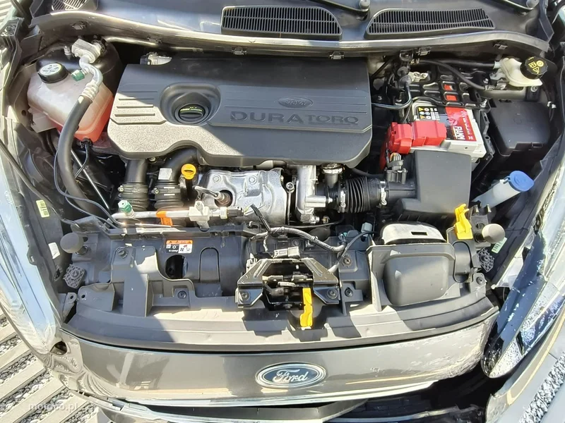 Ford Fiesta VII 19