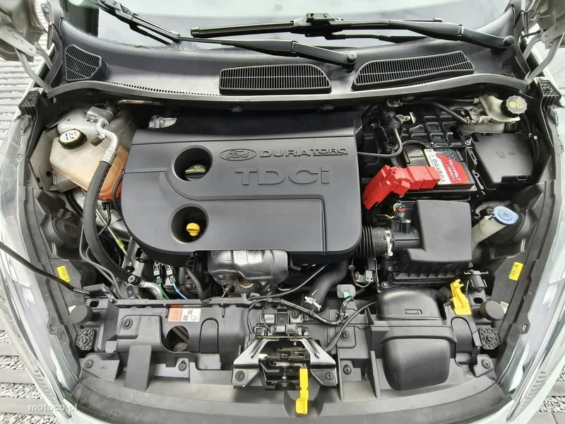 Ford Fiesta VI 22