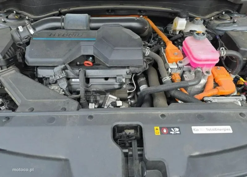 Kia Sportage 14