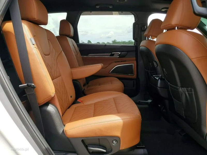 Kia Telluride 11