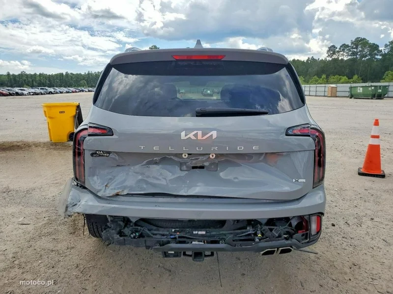 Kia Telluride 6