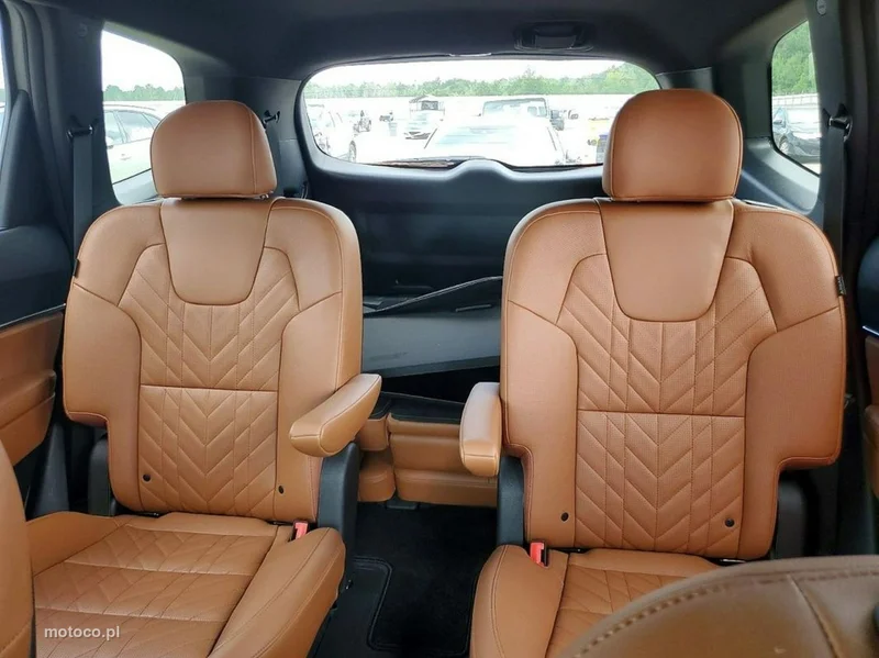 Kia Telluride 10