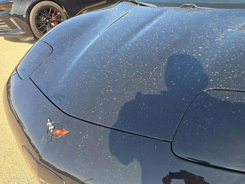 Chevrolet Corvette 13