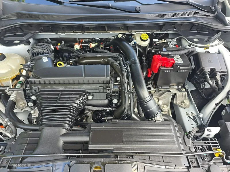 Ford Escape 13