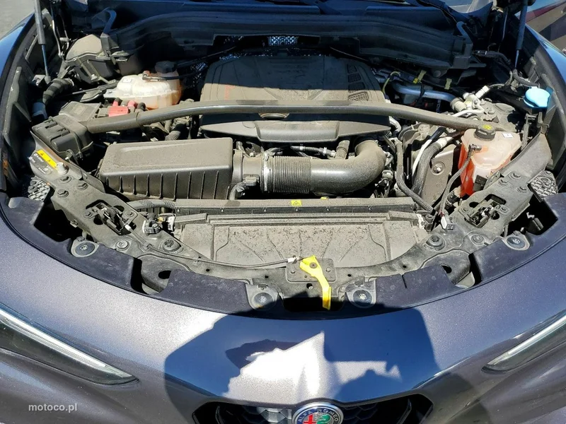 Alfa Romeo Stelvio 12