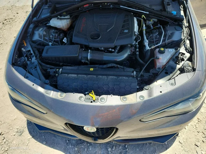 Alfa Romeo Giulia 11