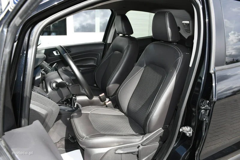 Ford EcoSport 18