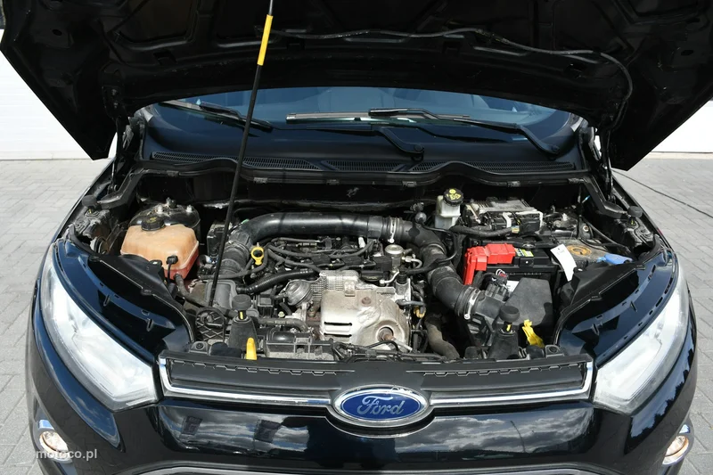 Ford EcoSport 37