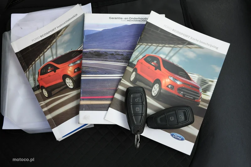Ford EcoSport 39