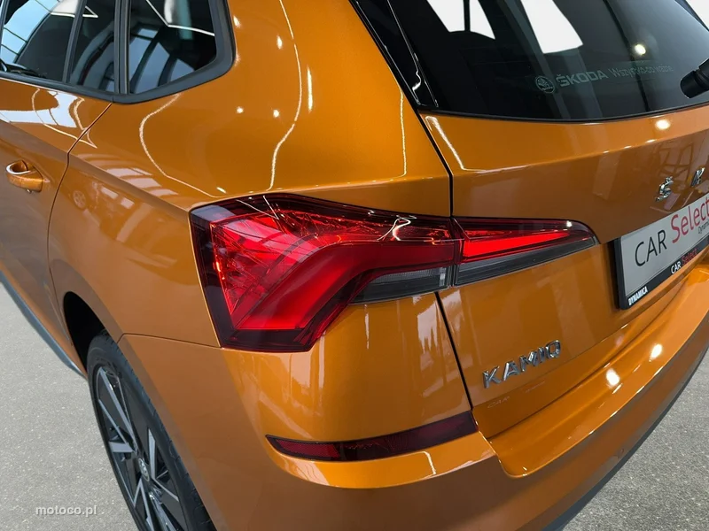 Skoda Kamiq I 11