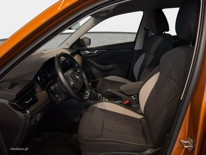 Skoda Kamiq I 12