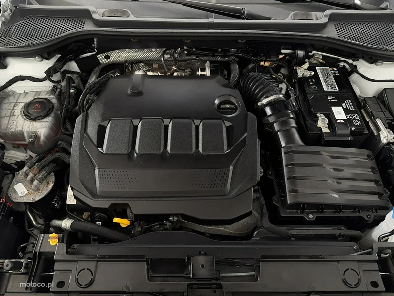 Cupra Formentor 19