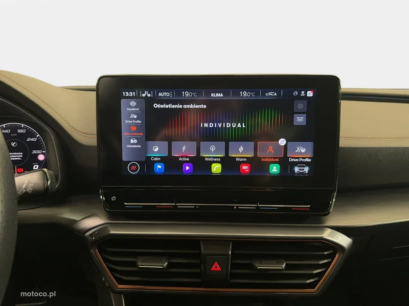 Cupra Formentor 26
