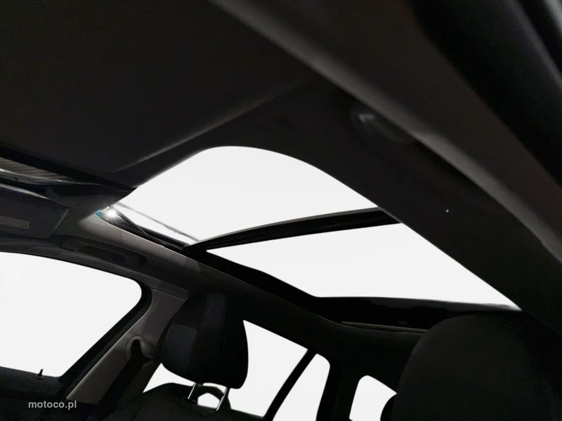 BMW Seria 3 G20 320 13