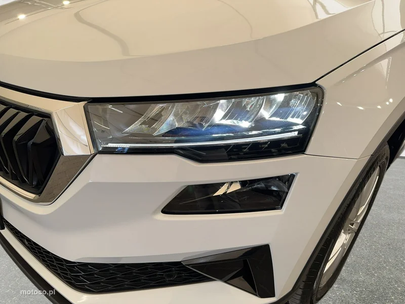 Skoda Karoq I 9