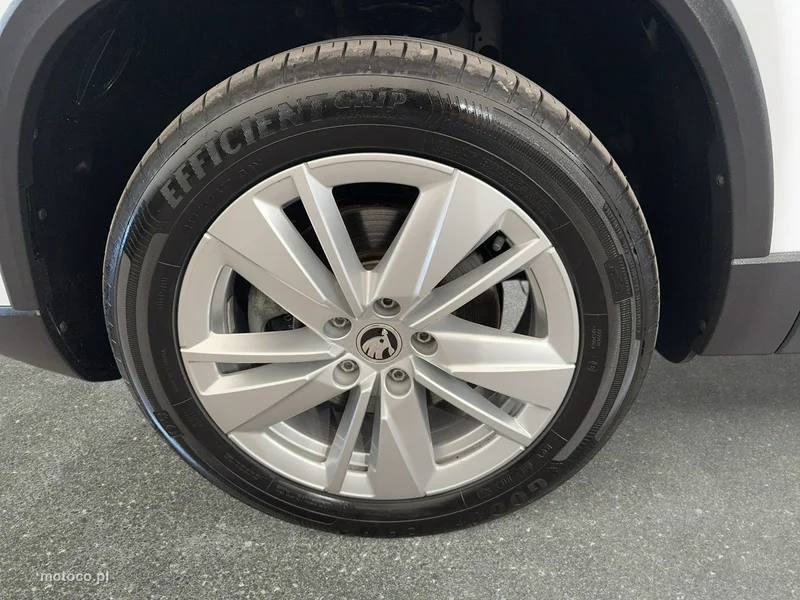 Skoda Karoq I 10