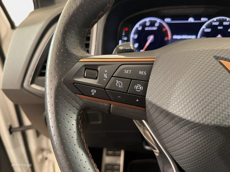 Cupra Ateca 14
