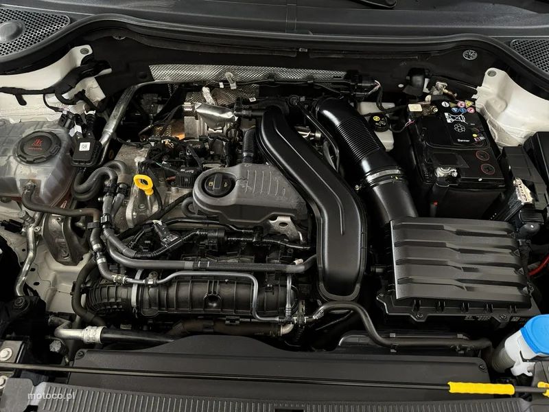 Cupra Ateca 33