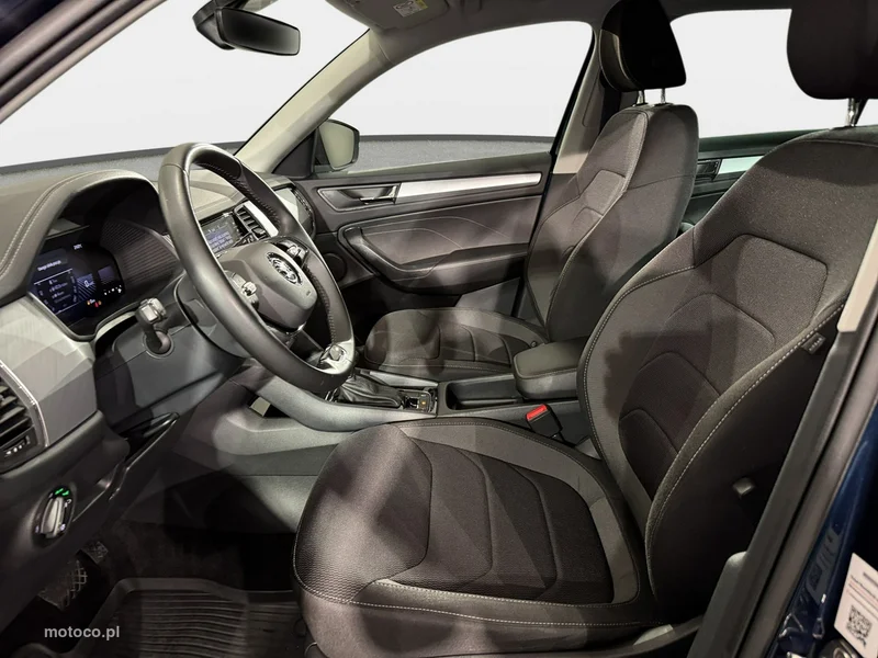 Skoda Kodiaq I 24