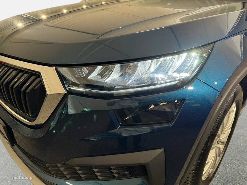 Skoda Kodiaq I 9