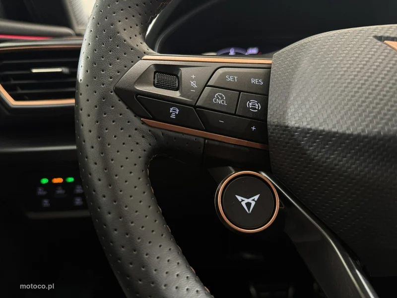 Cupra Formentor 15