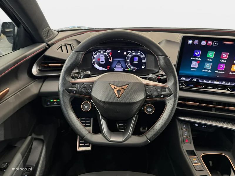 Cupra Terramar 13
