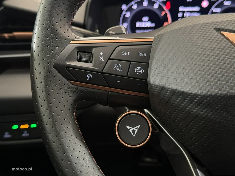 Cupra Terramar 14