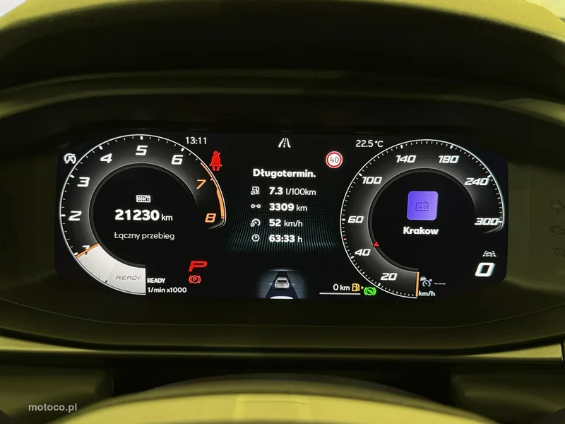 Cupra Terramar 16