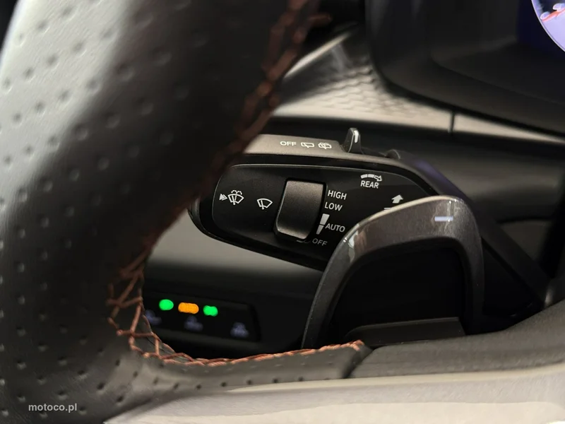 Cupra Terramar 17