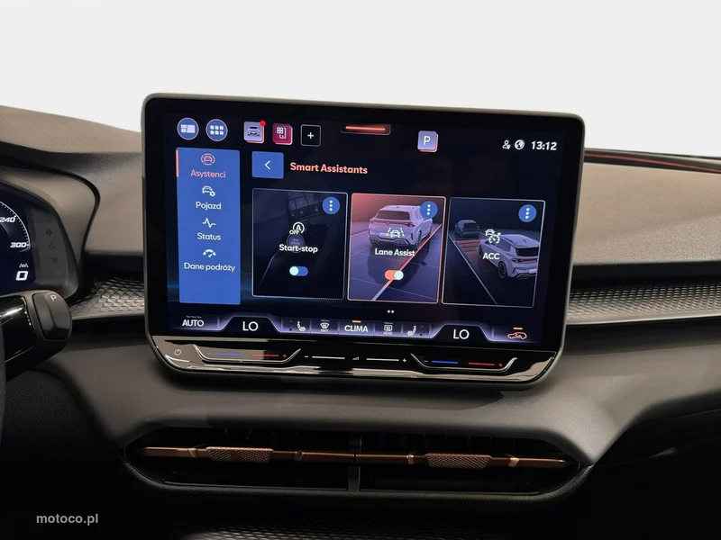 Cupra Terramar 22