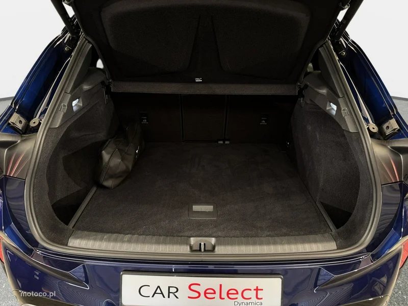 Cupra Terramar 25