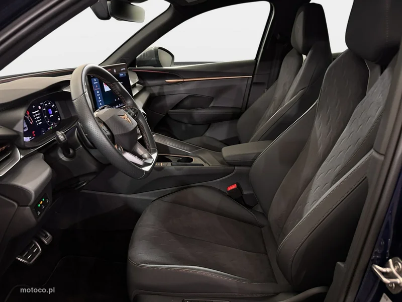 Cupra Terramar 29