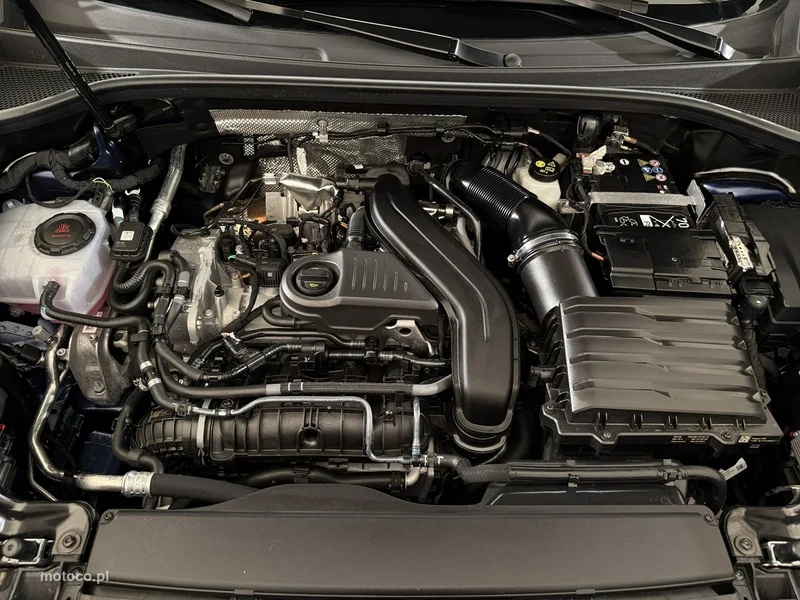 Cupra Terramar 34