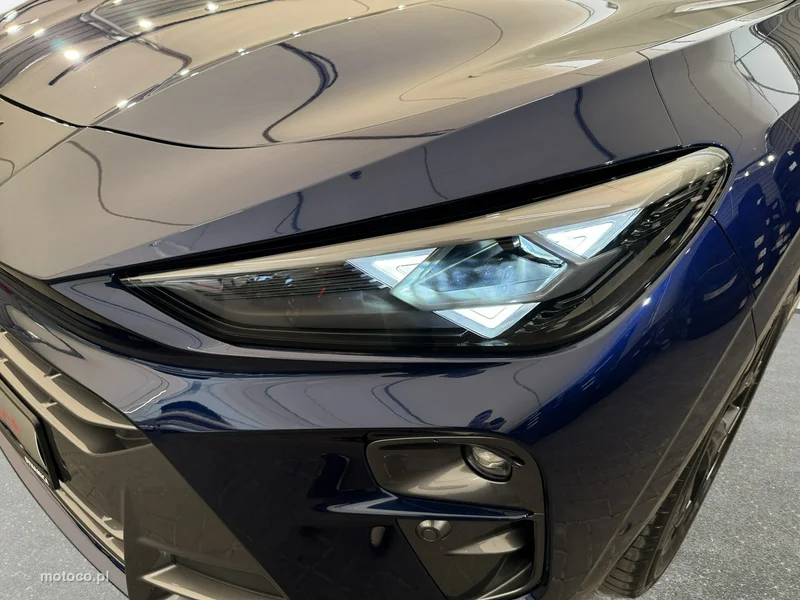 Cupra Terramar 9