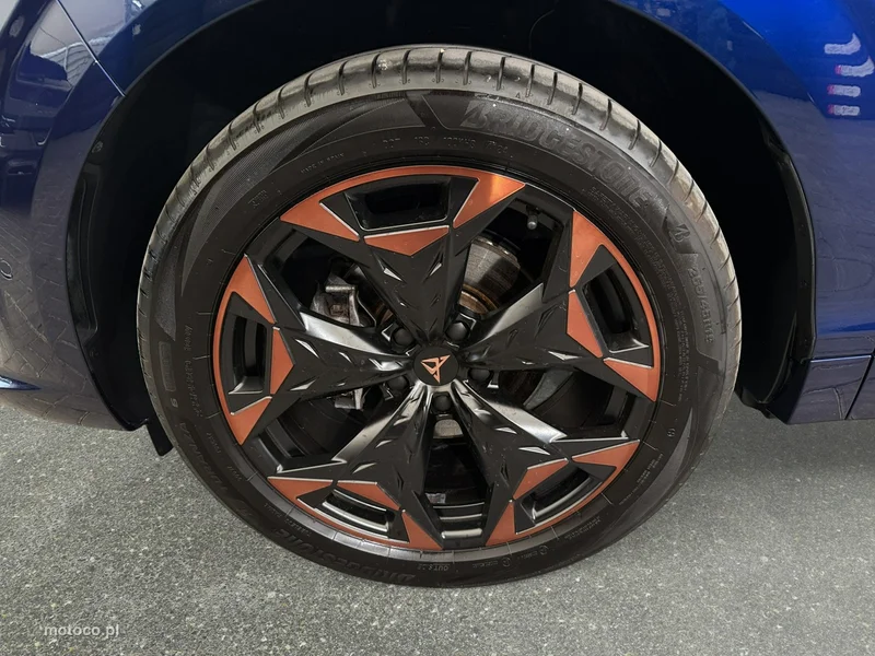Cupra Terramar 10