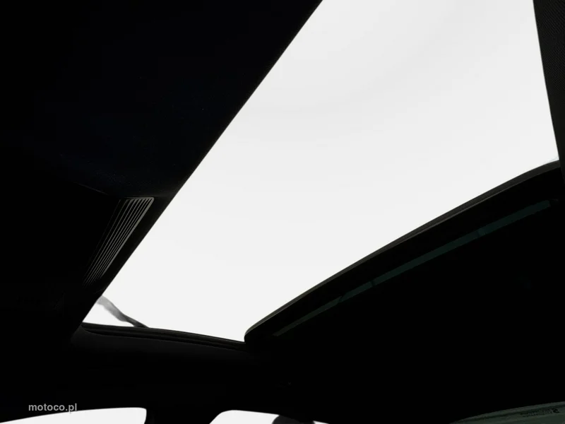 Cupra Formentor 31