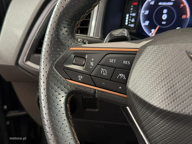 Cupra Ateca 19